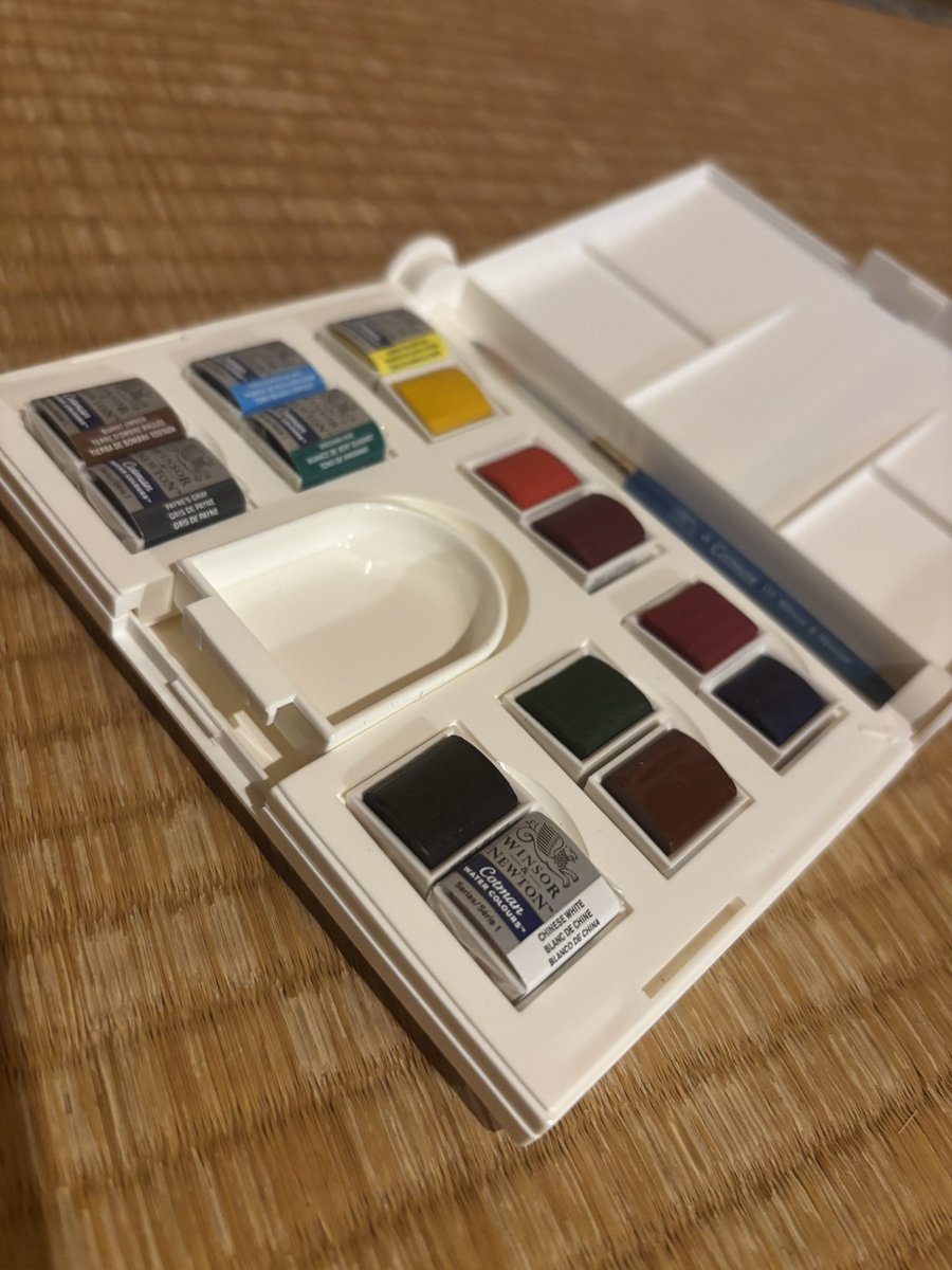 もえこ tweet media