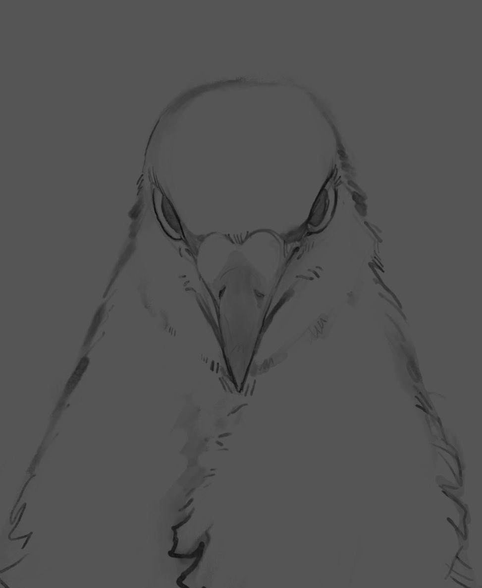 CrowFangs's tweet image. òvó