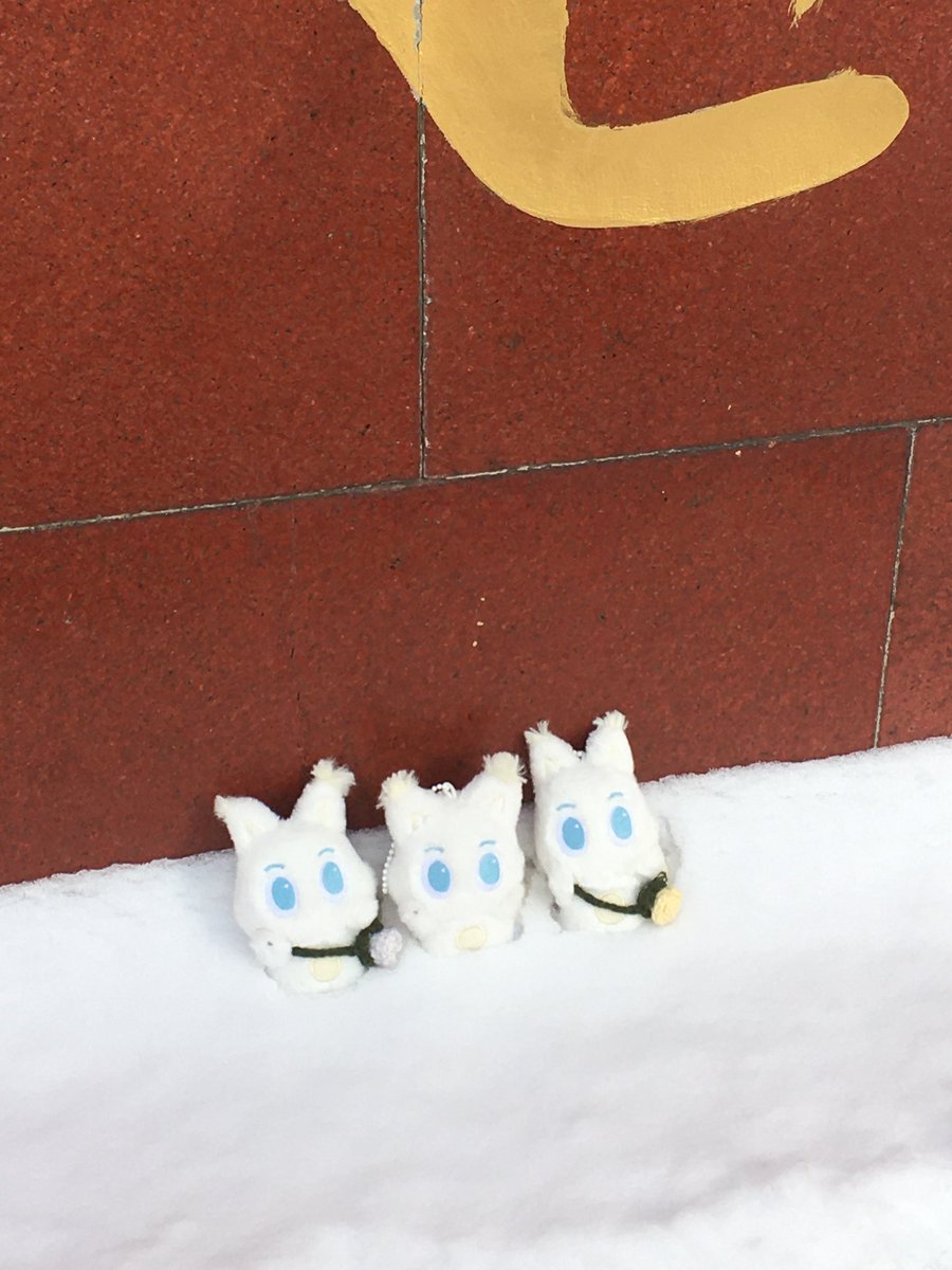 junee_S2's tweet image. 즐거운 길림여행이었습니다~~~~💛
두 번째 길림이라 더 소중했고 우쑹도 볼 수 있어서 더 사랑 가득한 시간이었어요..❄️
런쥔이 덕분에 너무 좋은 경험, 행복한 기억 만들었다 고마워..💛