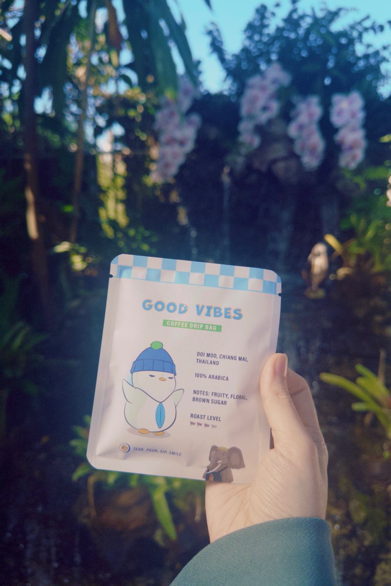 Dash 許梅玲 tweet media