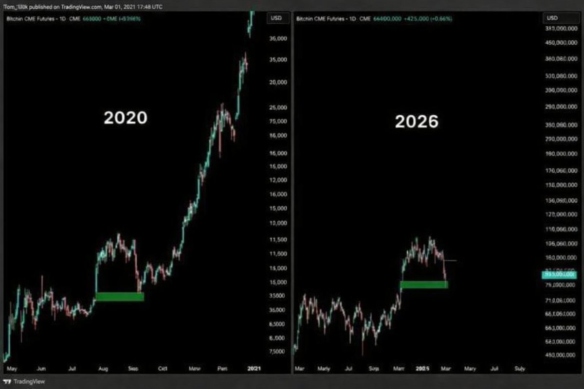 lynk0x's tweet image. Are you ready for the pump?