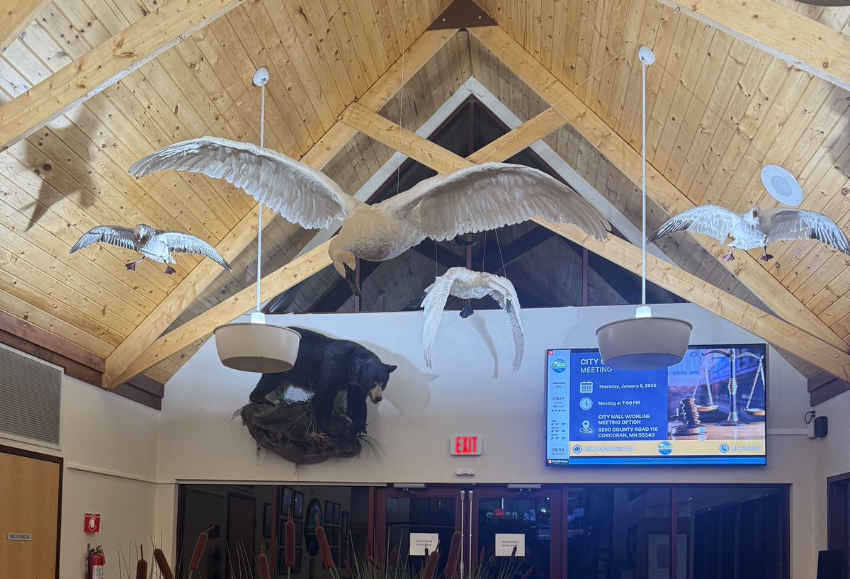 Kristy Janigo tweet media