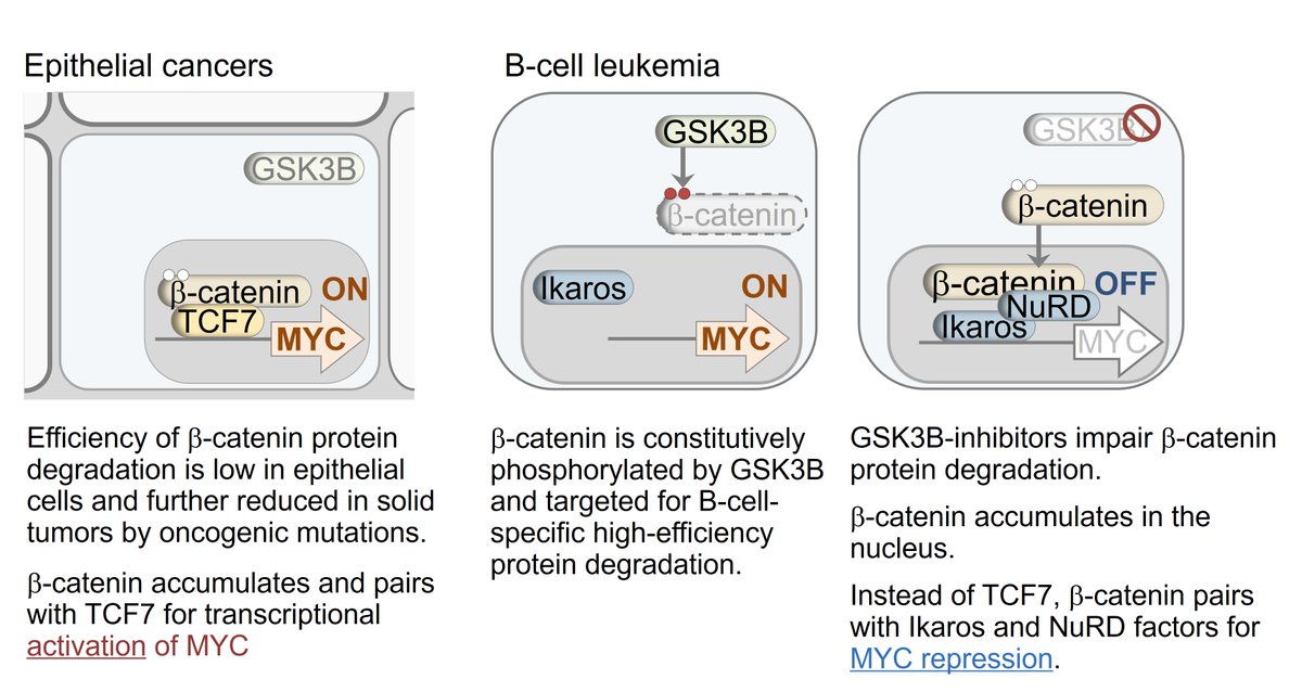 Müschen Lab tweet media