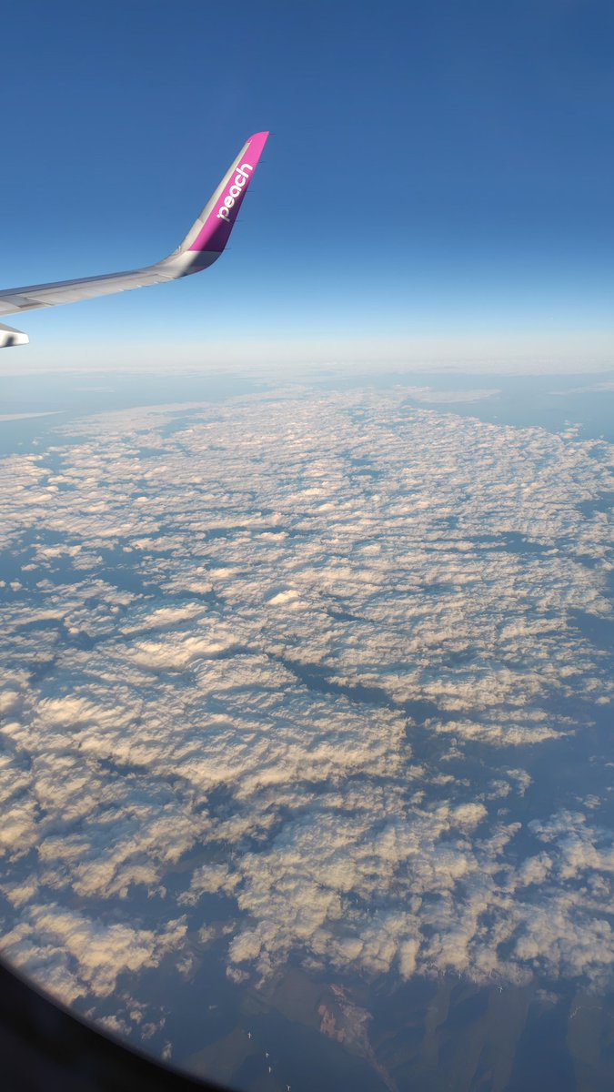 OS_Chorio's tweet image. 