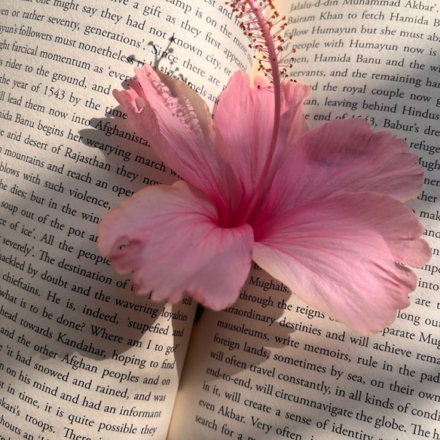 aelinfleur's tweet photo. ✦ livros lidos em 2026
                      — a thread! https://t.co/VXuRgygwDM