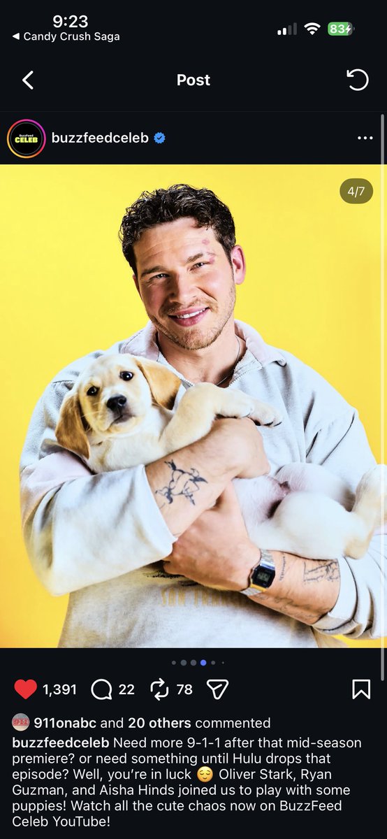 OH IVE BEEN WISHING FOR THIS 911 PUPPY INTERVIEWWWWWW