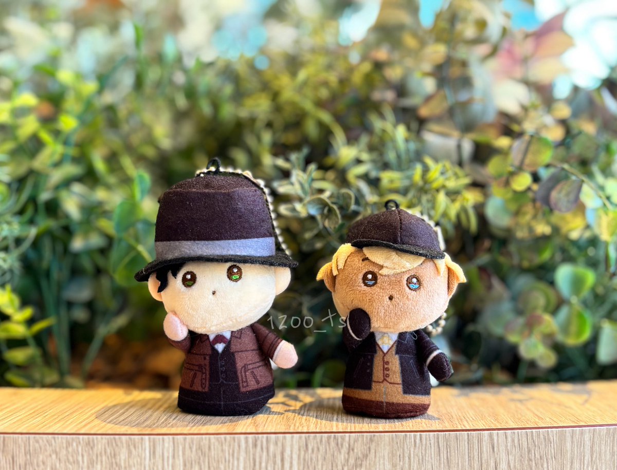 さいさも🎡新刊の通販開始 (@sirloinsalm0n) / Posts / X