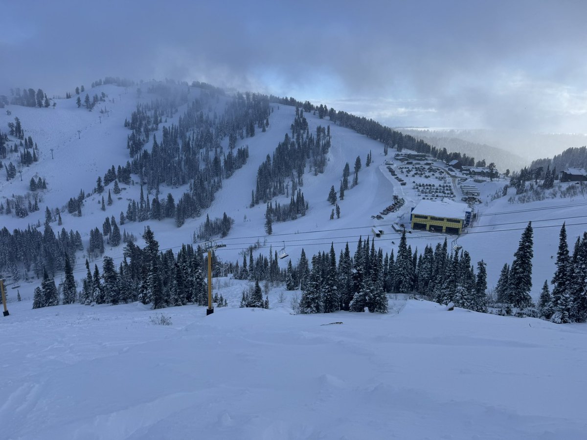 PlutoMonium tweet media