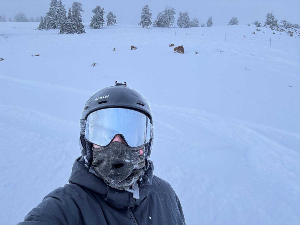 PlutoMonium tweet media