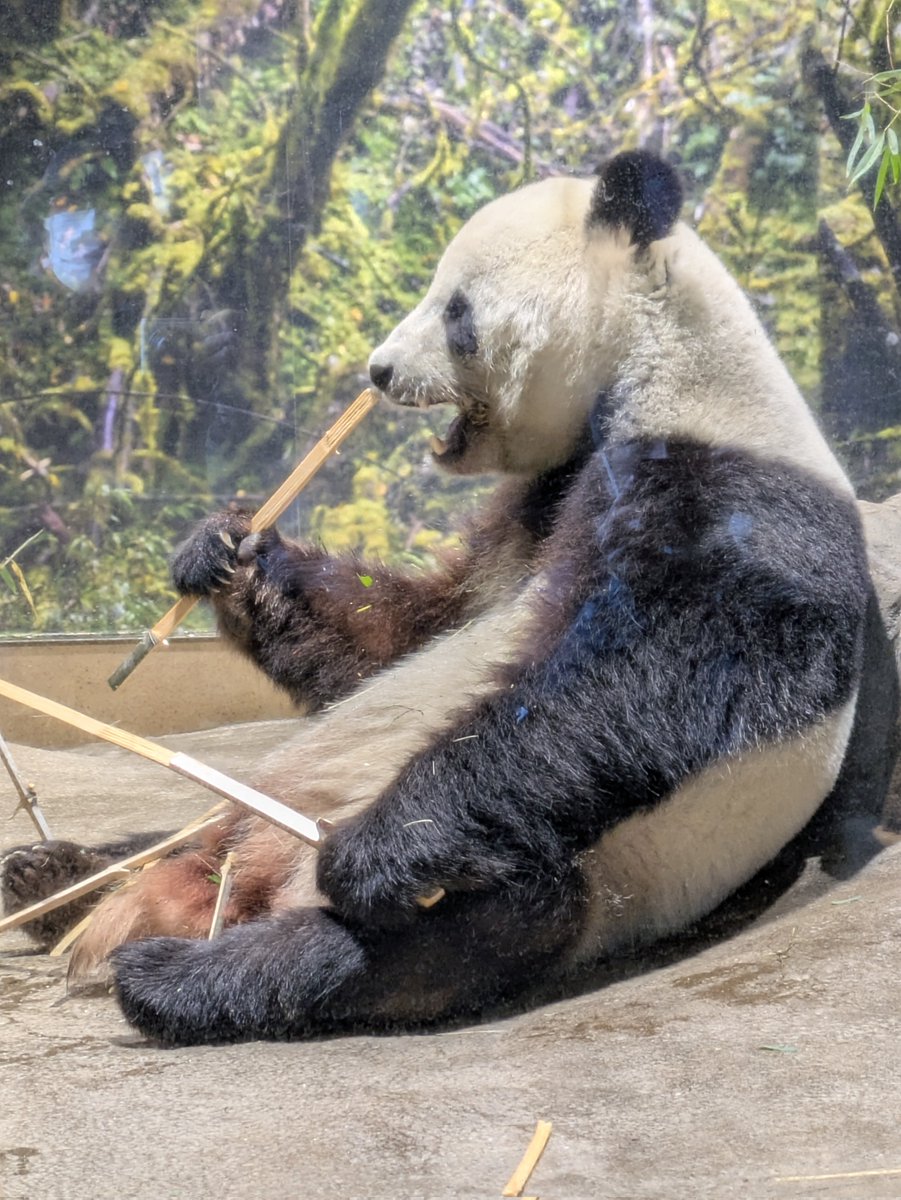 ふみくん (@fumitaka_s) / Posts / X