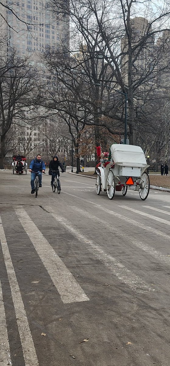 What Happens in Centralpark tweet media