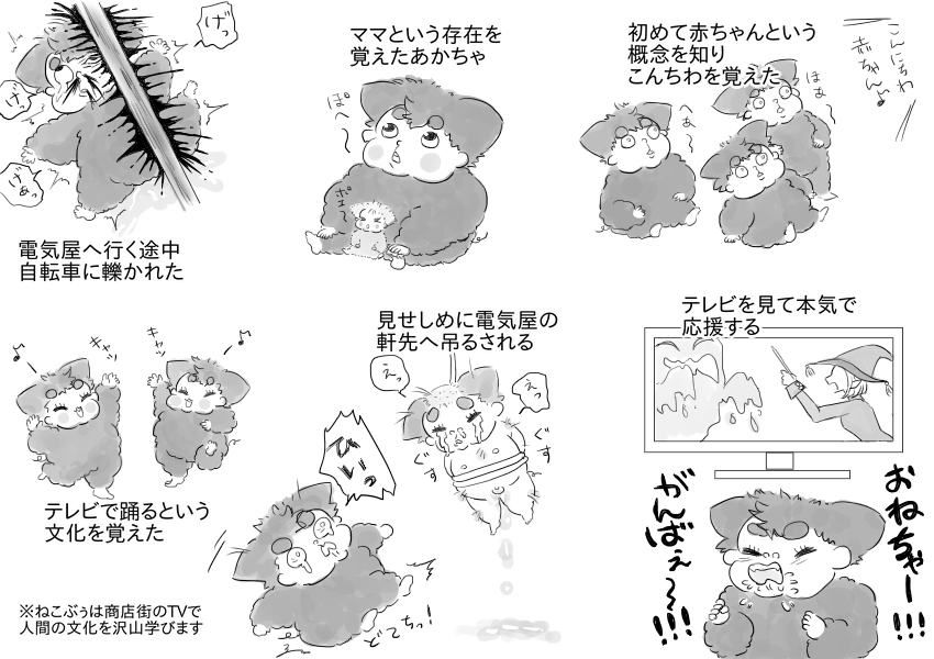 ymd_nekoboo's tweet photo. ねこぶぅとテレビさん https://t.co/TvhRopbmeD