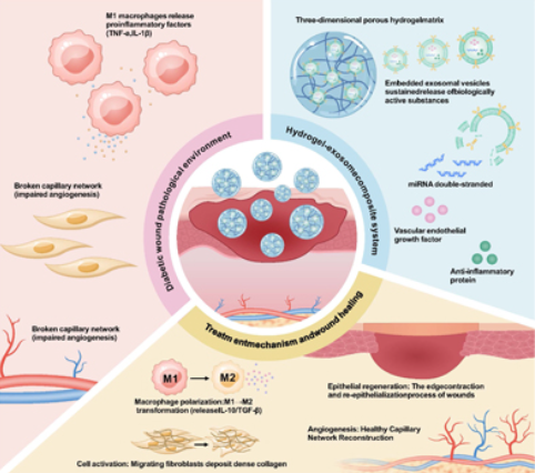eCM Journal tweet media