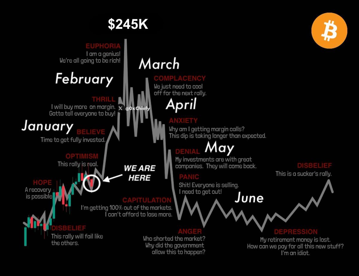 David Crypto 🪽 tweet media