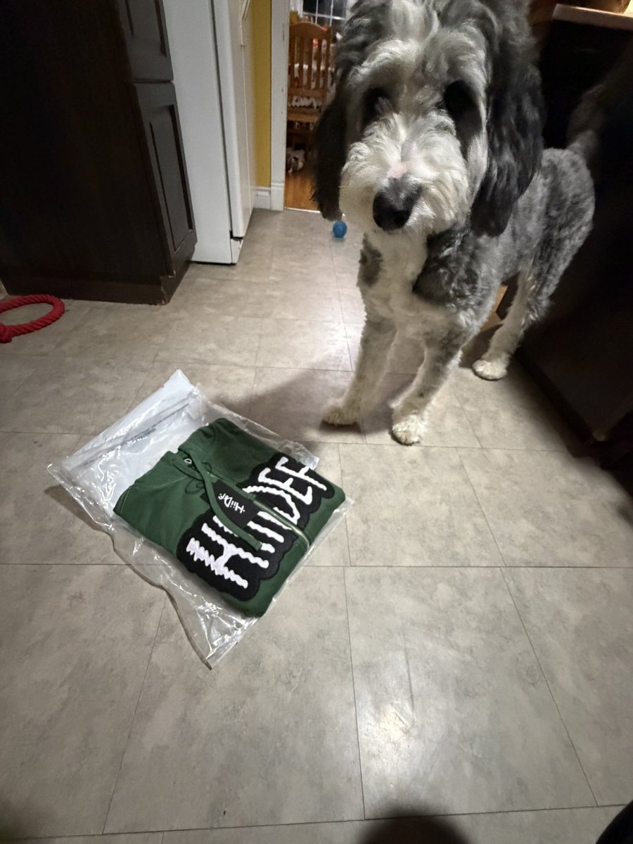 victoria 🌙 tweet media