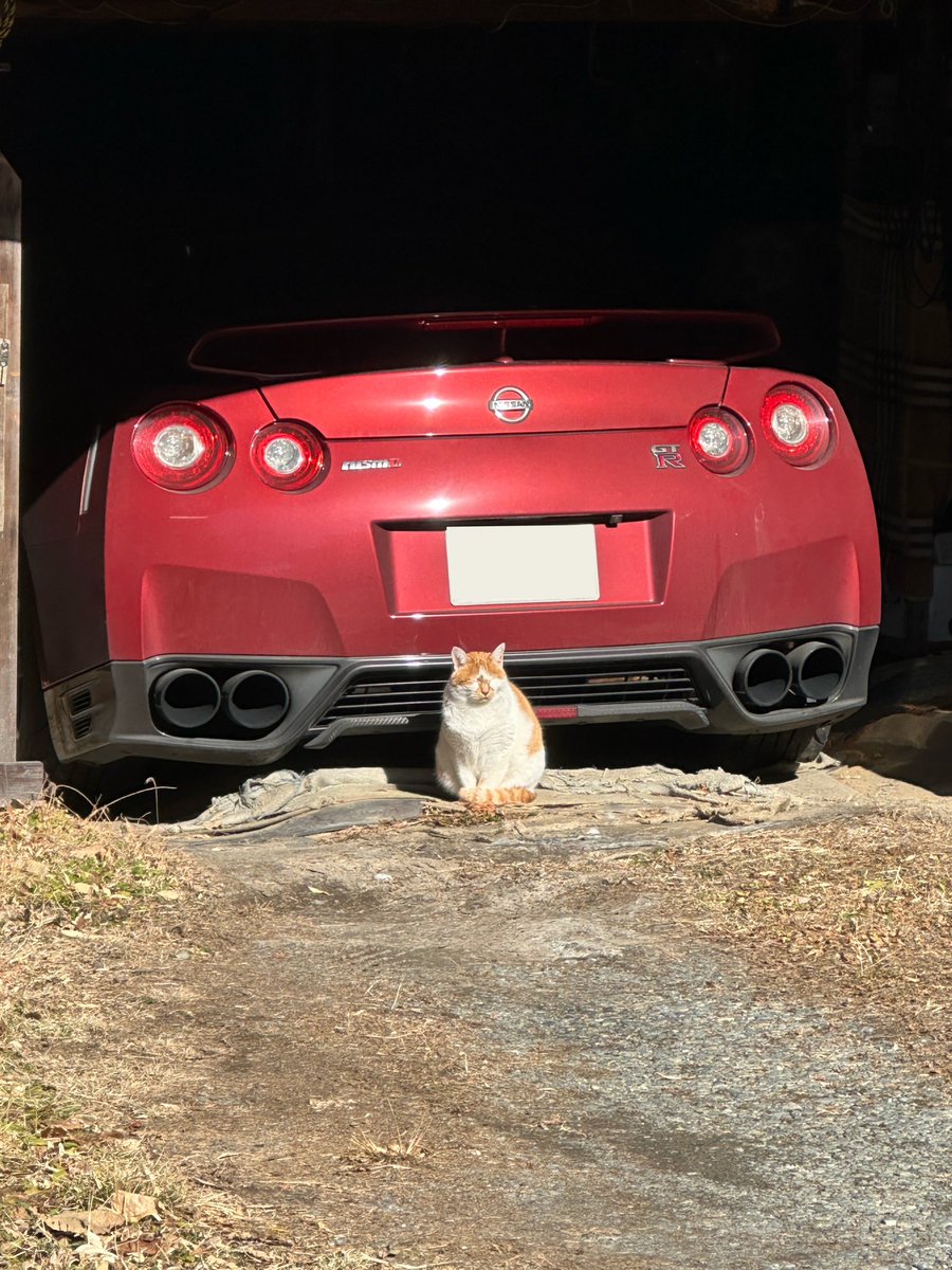 tanappiirx's tweet image. …車の警備してるん？