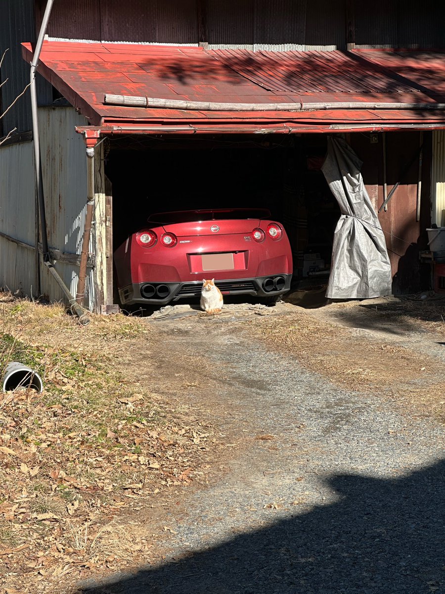 tanappiirx's tweet image. …車の警備してるん？