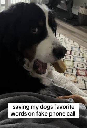 DAR3DEVILS's tweet image. ellis, shen, mel, mckay, and santos all together in one scene #thepitt