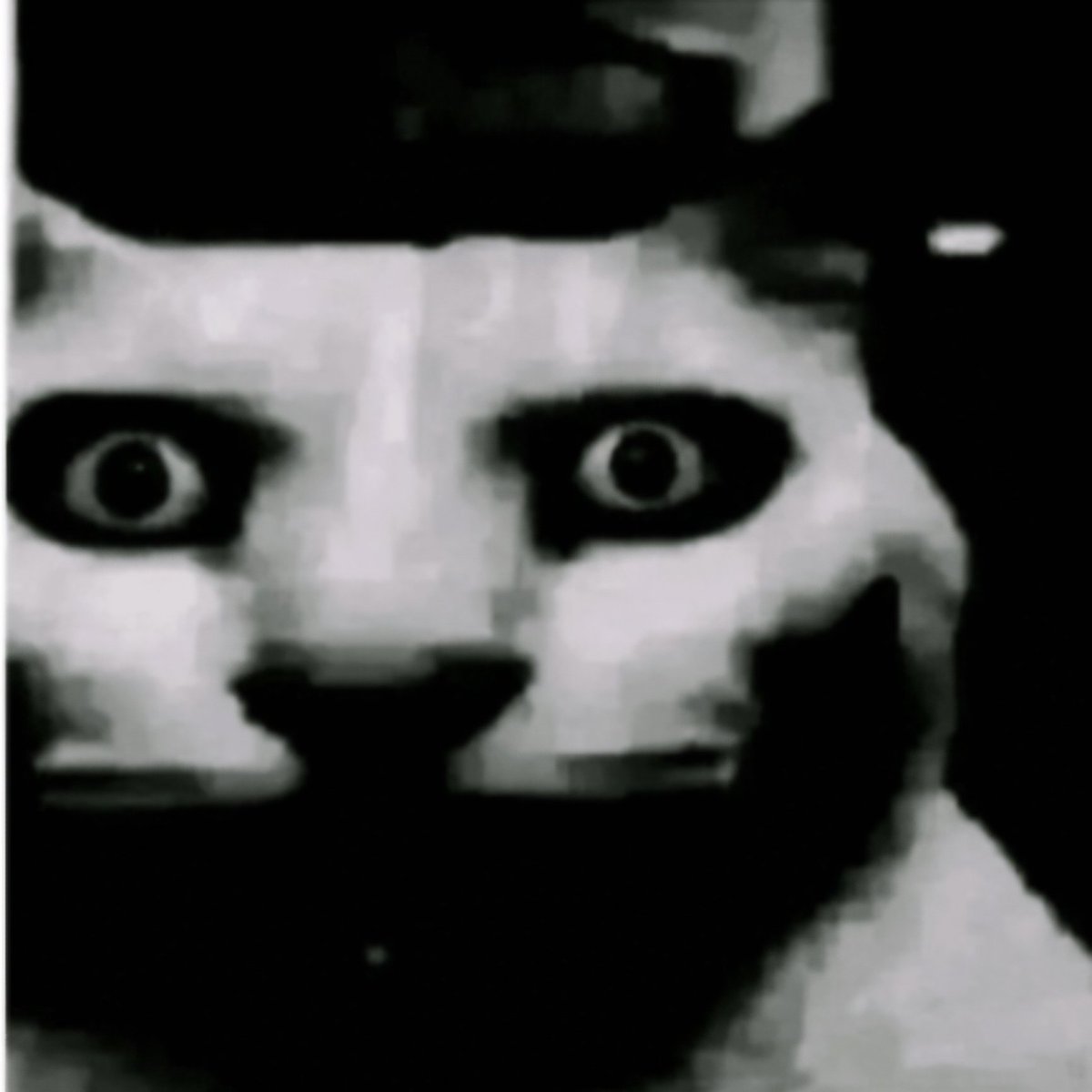 eu_Dipe's tweet image. A DM QUE EU ACABEI DE RECEBER, GUUUURL....