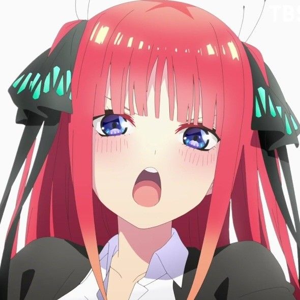 🐰🌺 𝑁𝑖𝑛𝑜 Backup 🌺🐰 tweet media