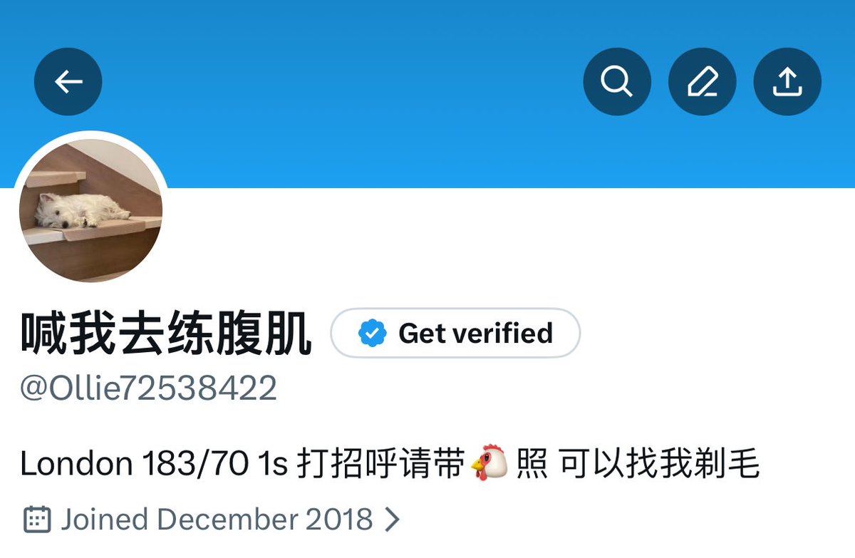 sideonlyp's tweet image. 8年账号被封，这已经被封的第二个号，行吧重新开始，我关注的列表能回来不😭