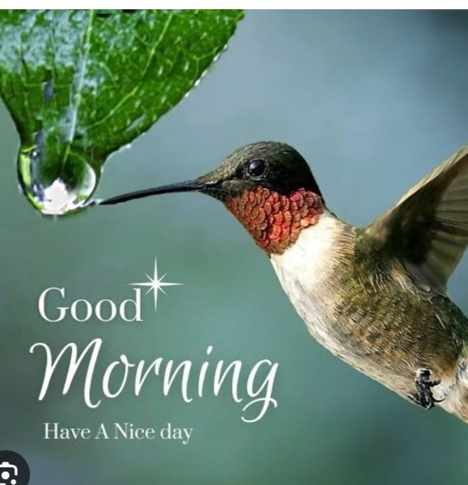 Muhamma49591996's tweet photo. Assalamualaikum 
Good morning everyone❤️

Kya Haal hai Dosto ?
#TheRajaSaab #TheTraitors #CHANELFineJewelry #CocoCrush https://t.co/T5323Cj9TX