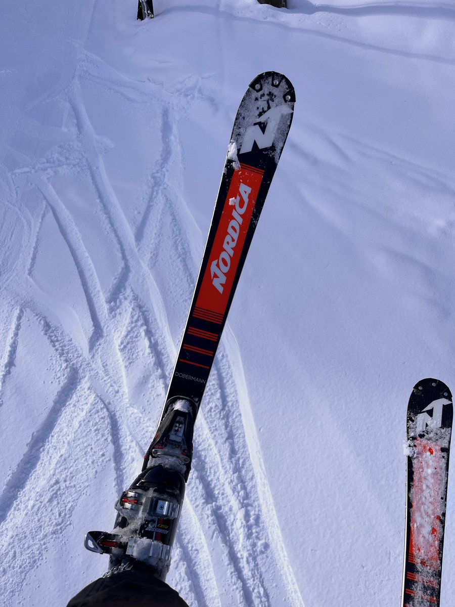 NORDICA dobermann World Cup SL NORDICA dobermann aggressor 150