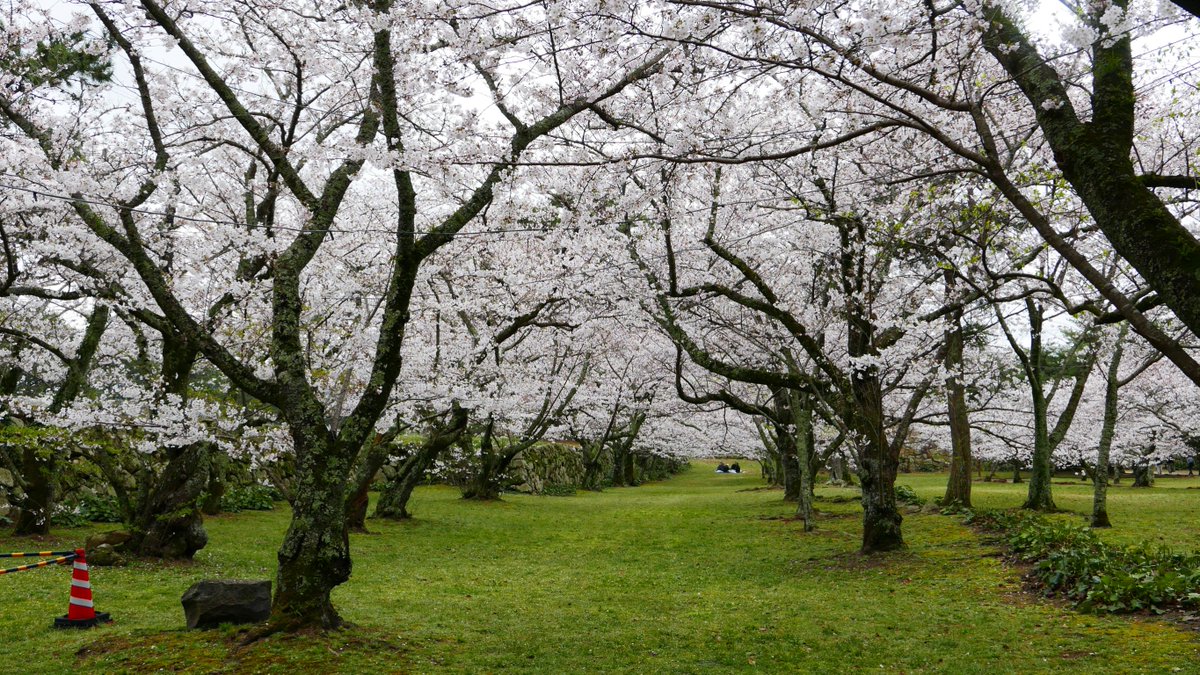 【拡散希望】3/29こすおん＠萩  

1/11 19:00よりお申込み開始いたします 

参加希望の方は以下サイトよりお申し込み事項コピペにてX DM（チャット）にてお申し込みください↓ kos-on.info/329.html