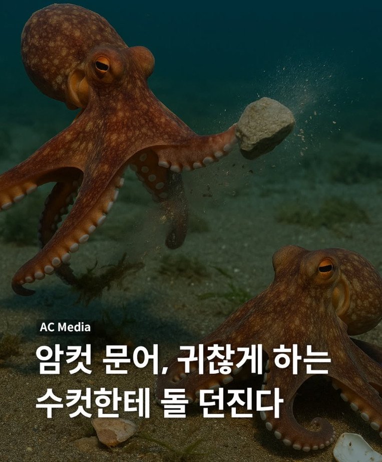 문어 대체 무슨생물임
