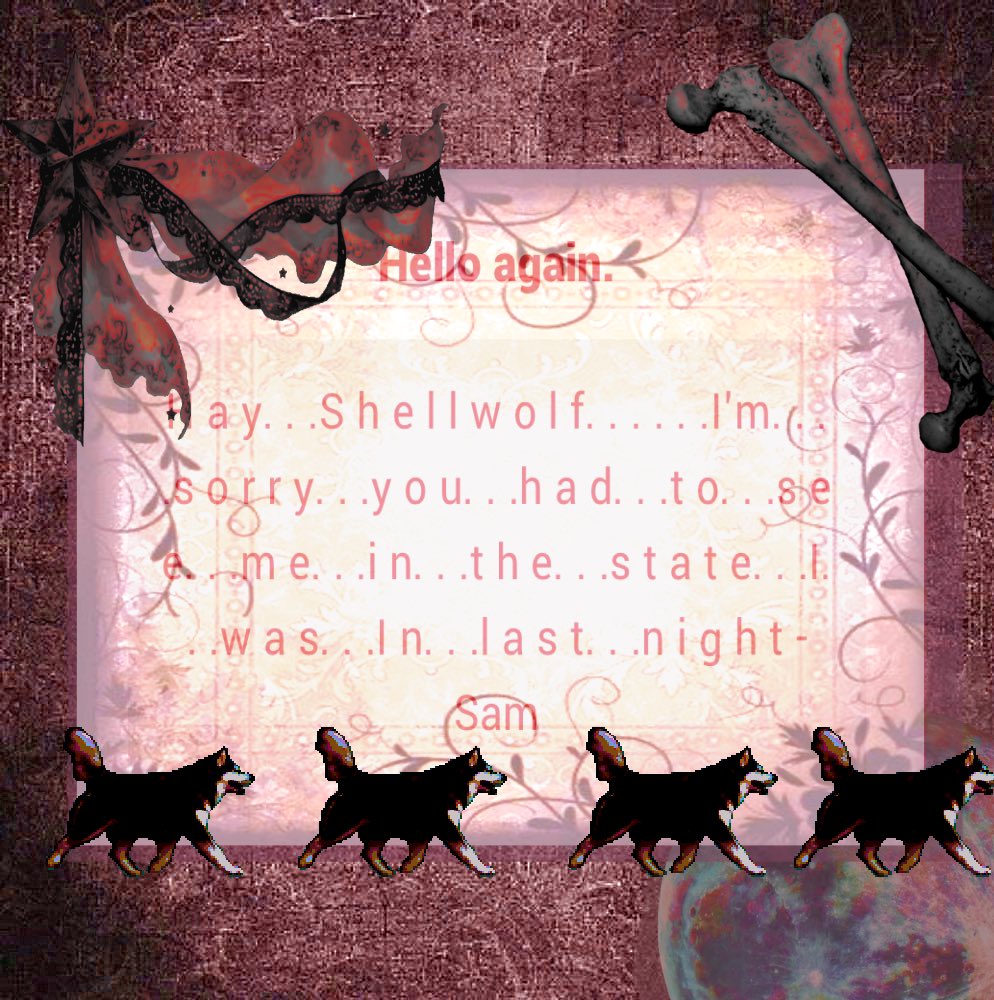 shellwolfXD's tweet image. Ah, there you are. I was wondering what happened, do you feel ok?

-🦴shellwolf🐾🩶