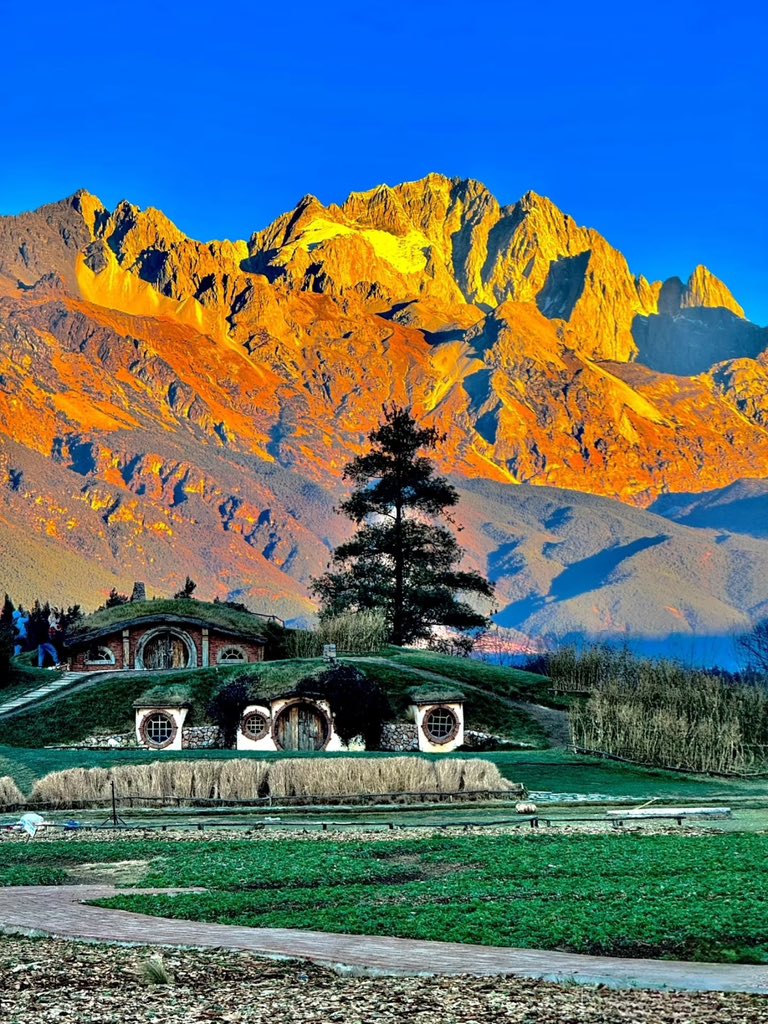 卤蛋（互fo）💯💯 tweet media