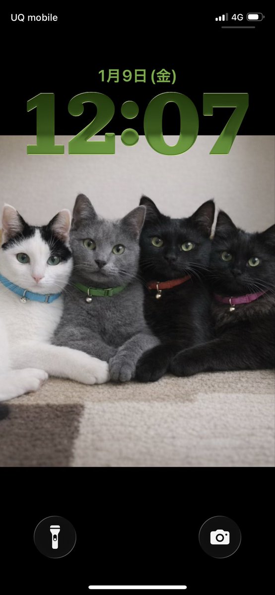 可愛すぎて何回も見ちゃう わたしのロック画面とホーム画面かわいい