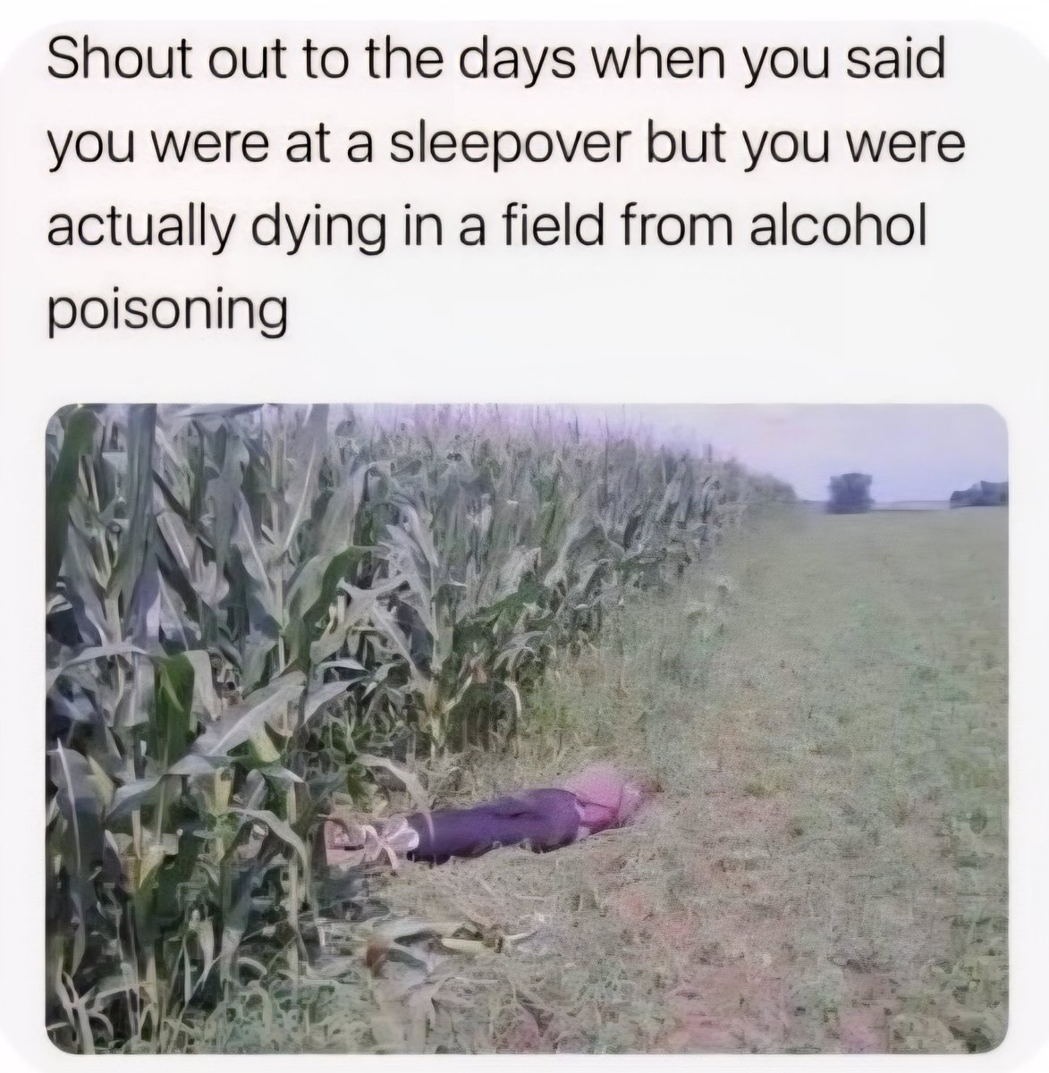 RobertaFresque2's tweet image. 😅