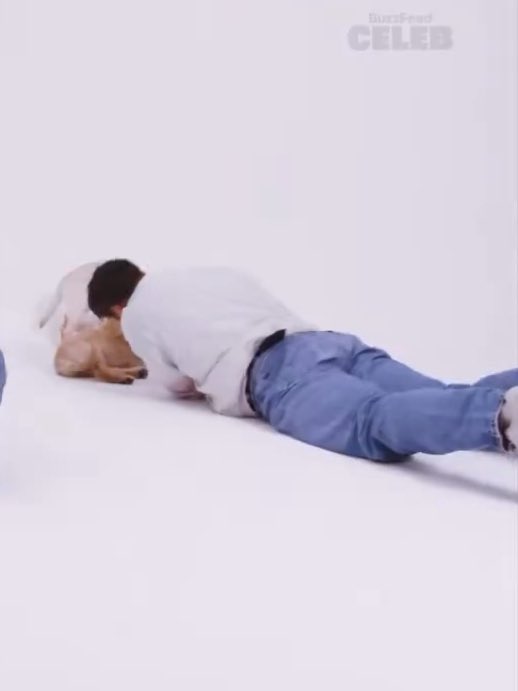 ibytames's tweet image. i’m so endeared by him he’s so cute