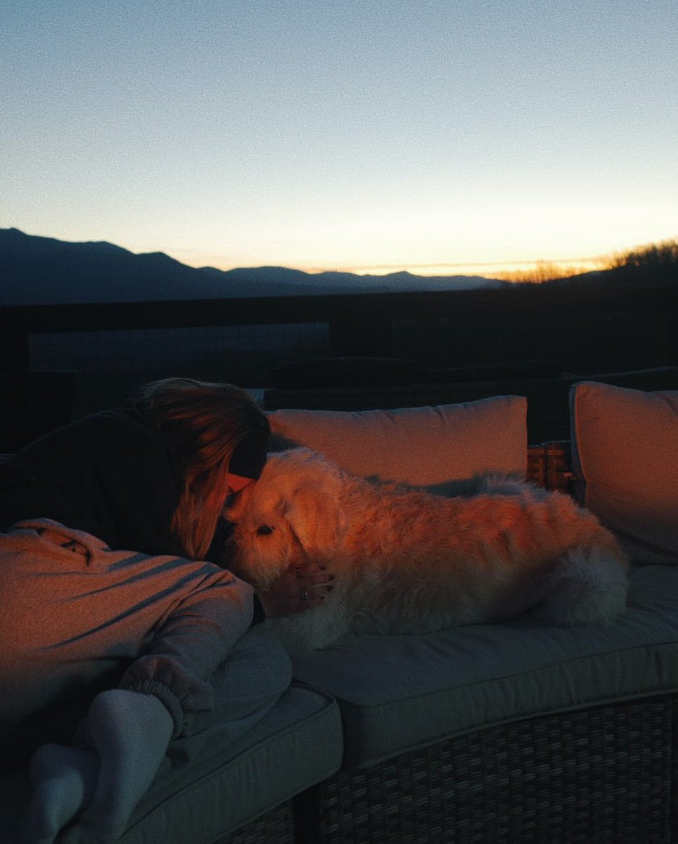 KelseaBallerini's tweet image. my sweet dibs went to doggy heaven yesterday. he spent his last few days in his backyard looking at the sunshine and surrounded and visited by his forever people. there are no words to articulate his role in my life, but i couldn’t have done the last ten years without him, and he…