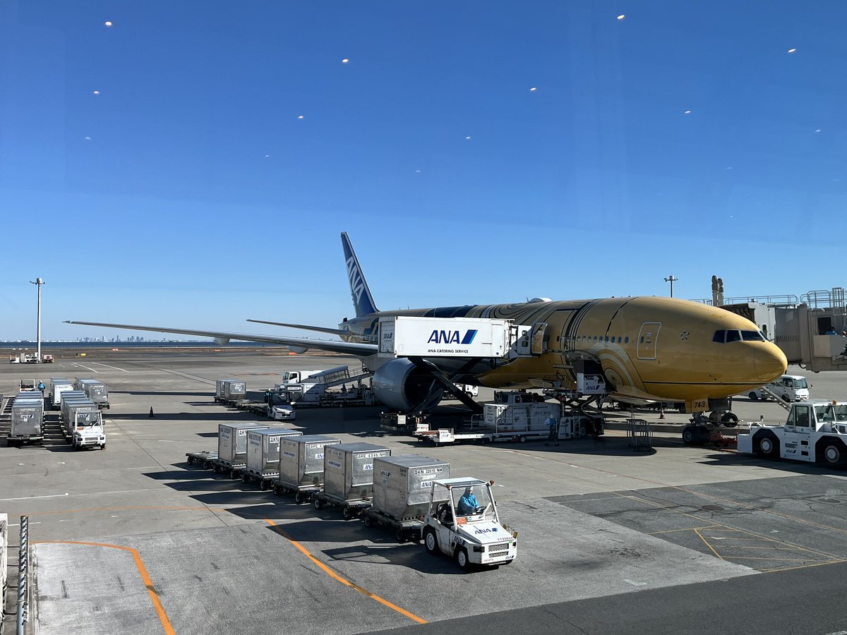 DarthStapes's tweet image. ということで、名残惜しいですがフライトは終了し、ヨーダに見送られながら
飛行機を後にしました。

なかなか巡り合わせがなく、ようやく最終日にして搭乗が叶って本当に嬉しかったし、楽しいフライトでした！
ANAスタッフの皆様、ありがとうございました！

#ANA #スターウォーズジェット #C3PO