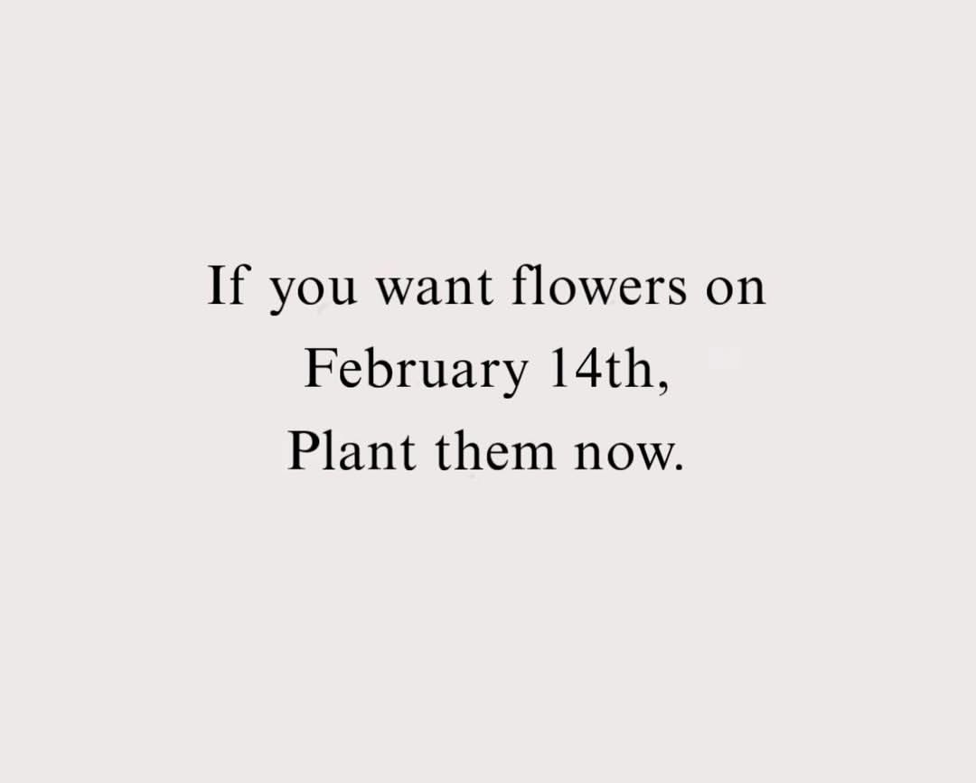 Zarmeenkhan221's tweet image. I can buy for myself... 💌
because I'm my own Favourite..Love yourself to love oneself is the beginning of a lifelong romance🔥