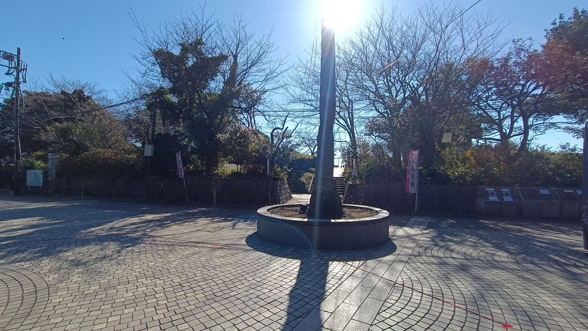 華やかな年末年始が終わり
「ただの冬」が到来しました