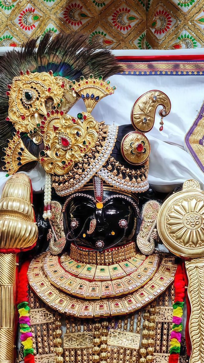 Radhika Ras 🪷 tweet media