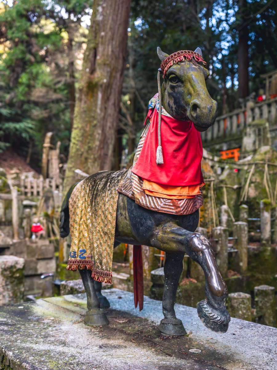 京都伏見稲荷大社お稲荷さんのお馬様🐴 本殿裏の神馬🎠と御膳谷の狛馬