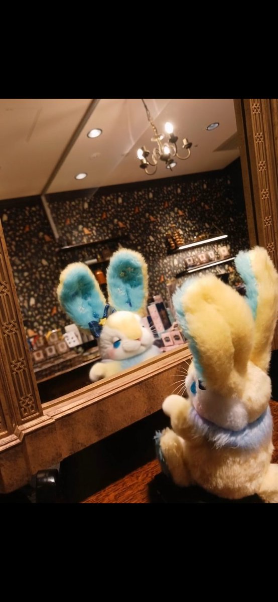 動かすの上手くいかなかったので静止画 鏡の🐰、泣いてる