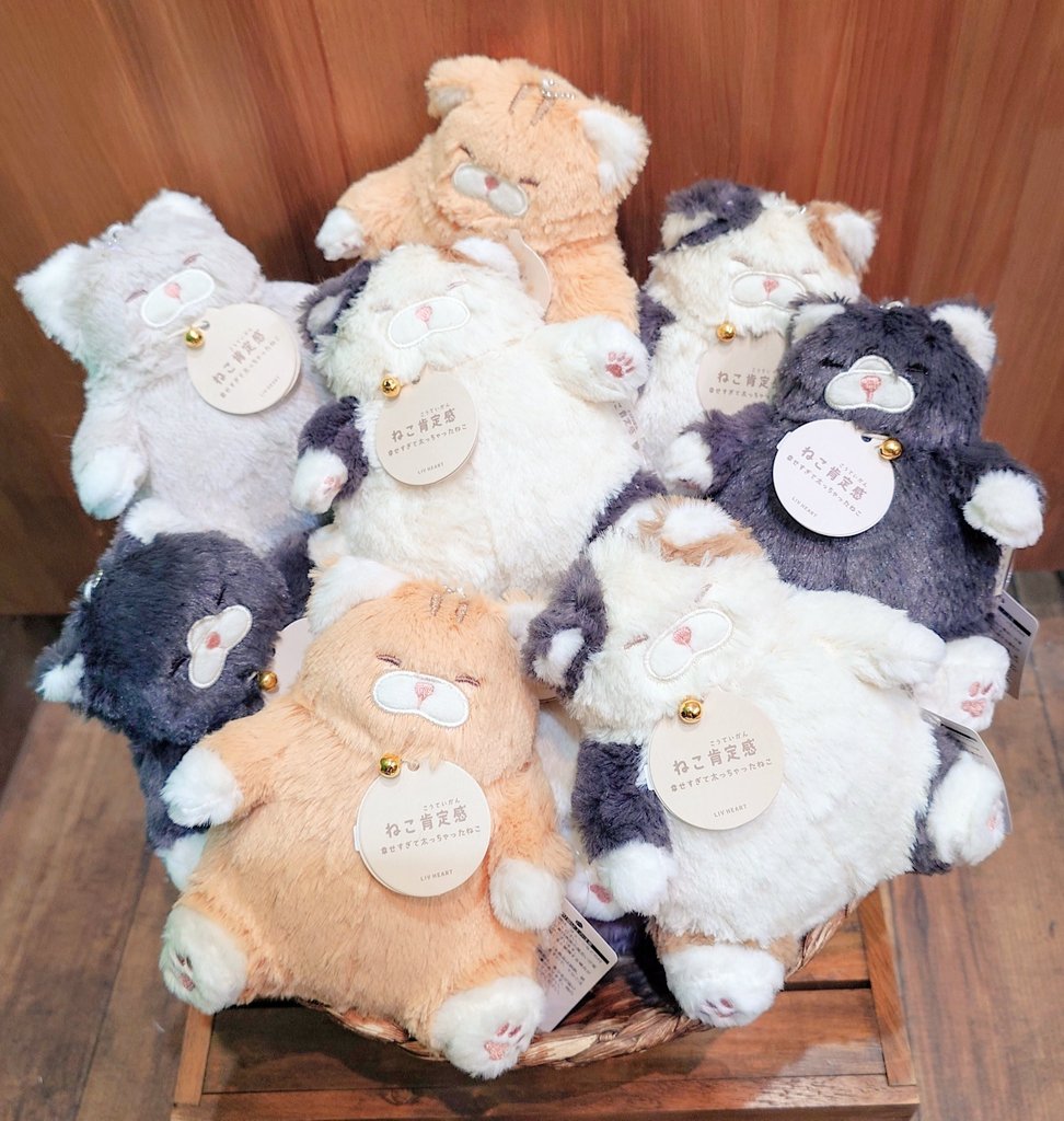 コロコロ、ふっくらした猫ちゃんのぬいぐるみ(ボールチェーン付き