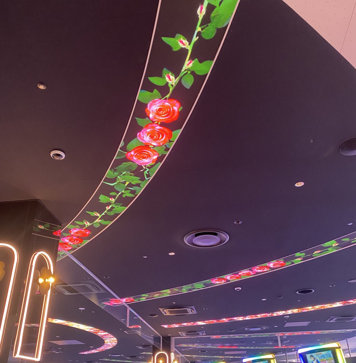 1/9フラワー🌹答え合わせと天井LEDの

予習になります
まずは昨日の夜

ハナハナ→蕾
ジャグバラ→蕾
いざ番全列→蕾
グール２列→蕾
ヴ2→🌼（いつも通り）
モンキー（ガールパネルとグラスラパネル）→🌹3個
モンキー（連旋パネルと初期パネル）→🌹5個
からくりとかぐや→🌹5個