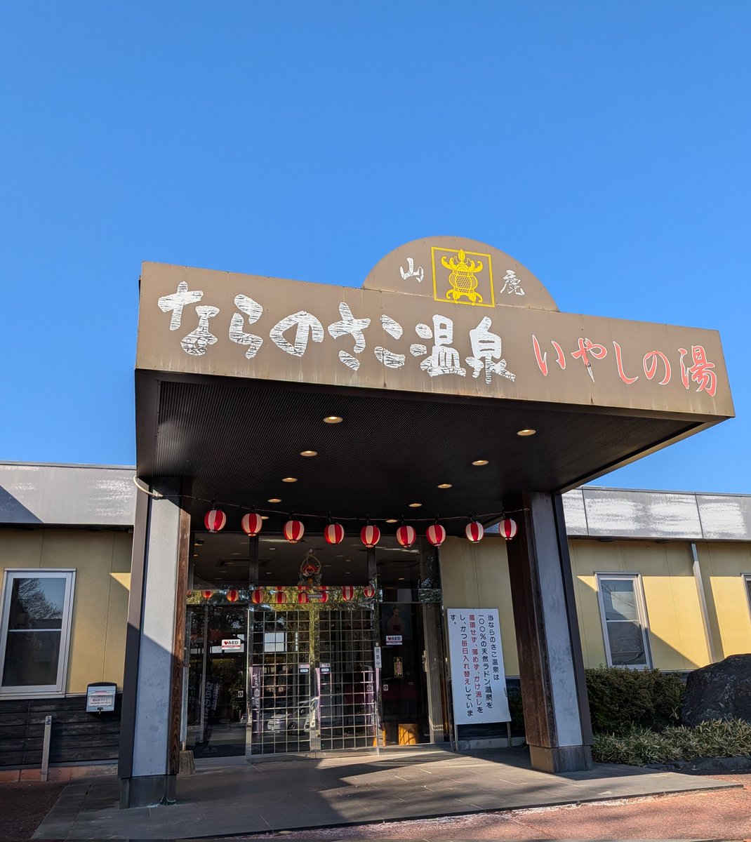 田口 舞#16/熊本BeaustPINDYS🦌 tweet media