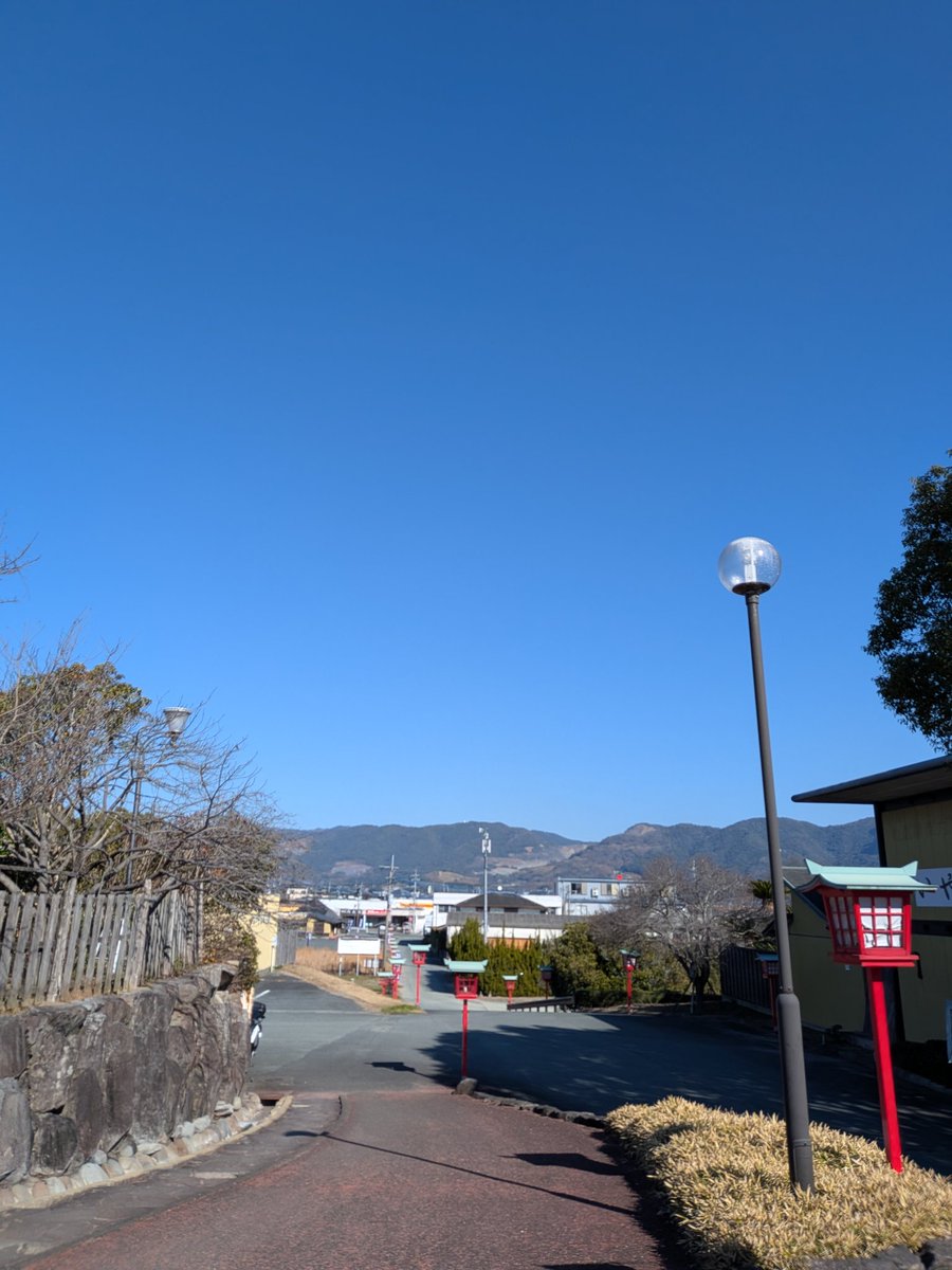 田口 舞#16/熊本BeaustPINDYS🦌 tweet media