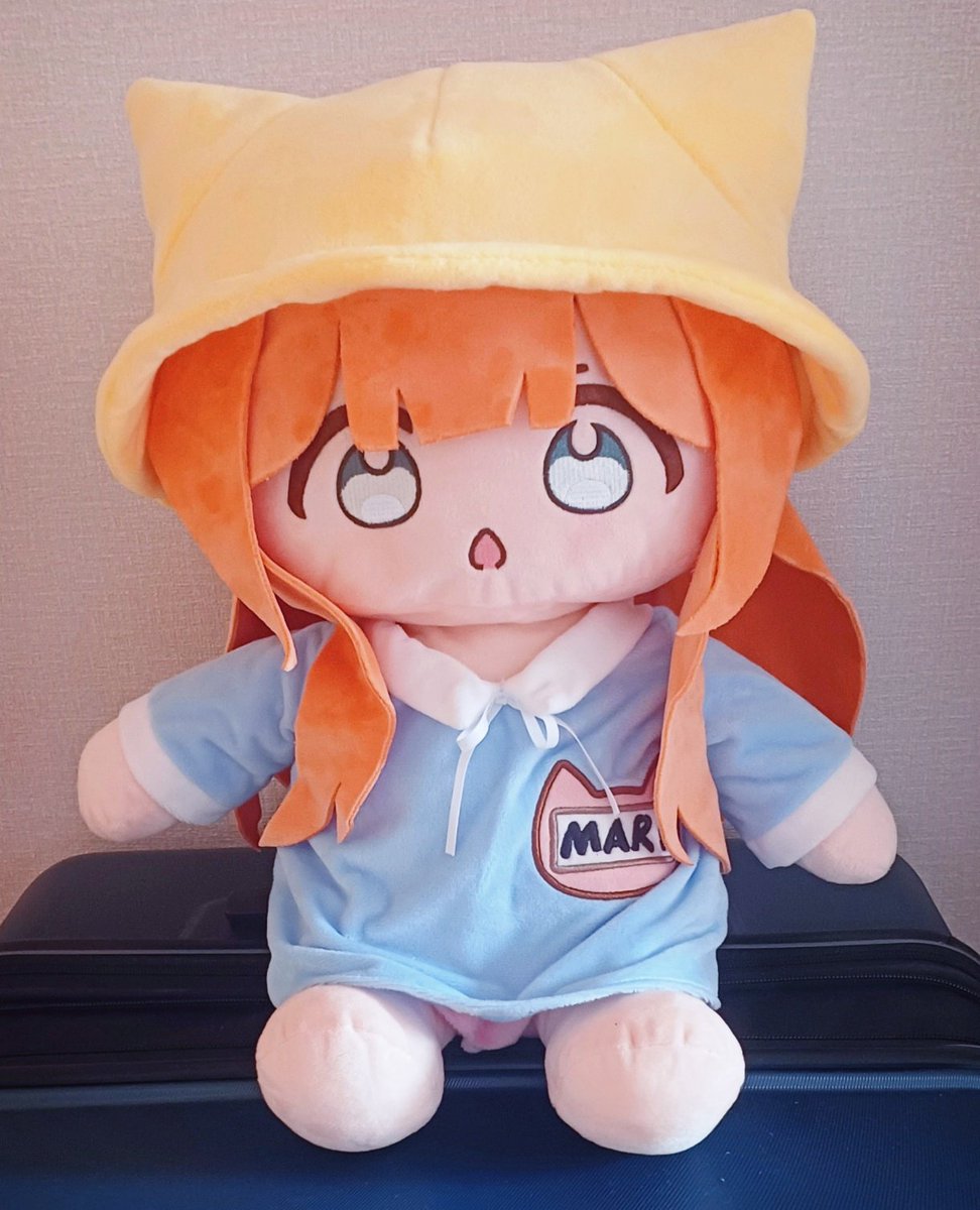 horuhara's tweet photo. [Overseas shipping OPEN‼️]

Purchases for the 40cm smol Mari plush are available until January 11th!🤗  There’s not much time left, so don’t forget!!!🐱🥰🥰

https://t.co/jjSAKXnwKJ https://t.co/nxAwbSsTYu