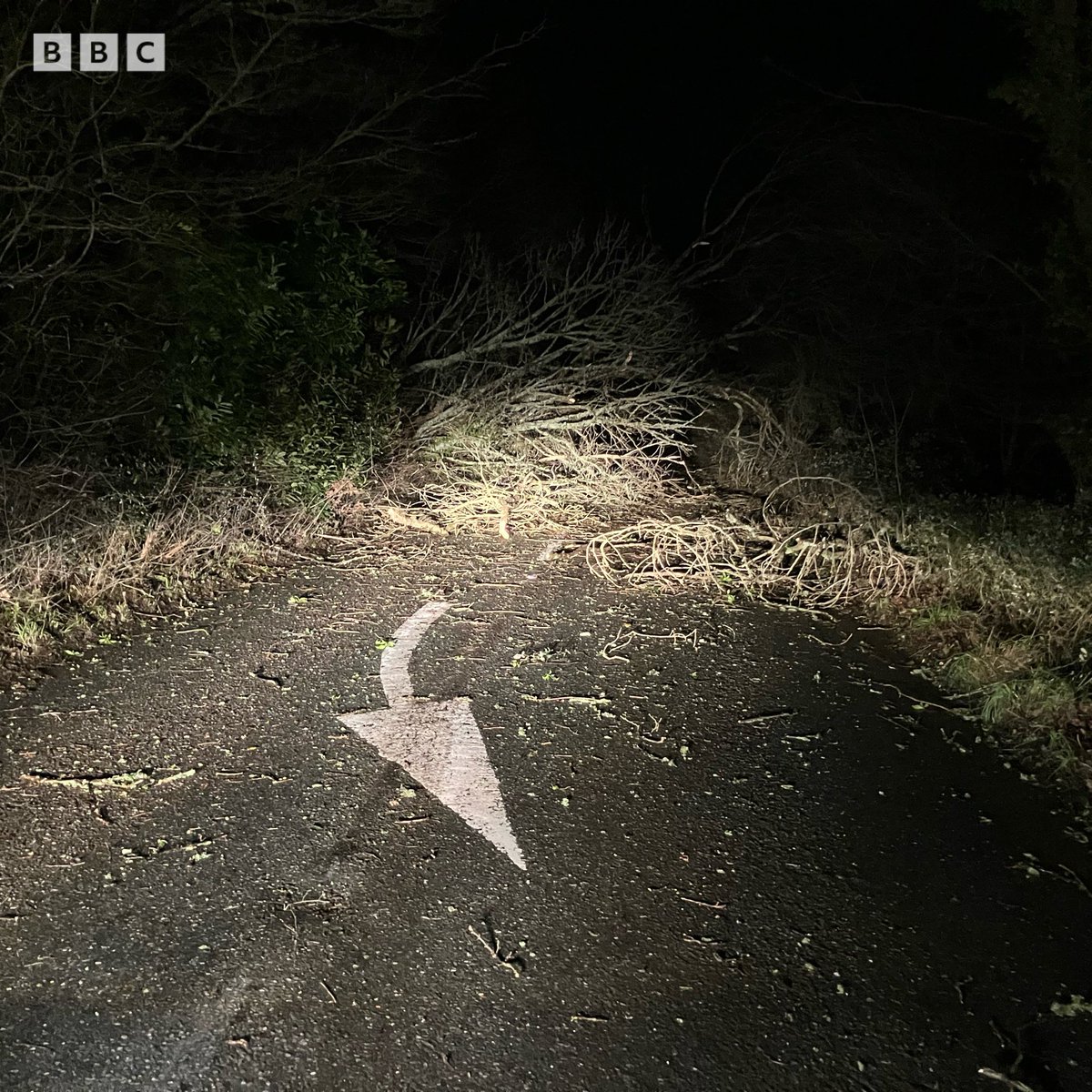 BBCCornwall's tweet image. There are trees, branches and cables down all over Cornwall after #stormgorreti struck

Two of the routes into #Probus are blocked …
