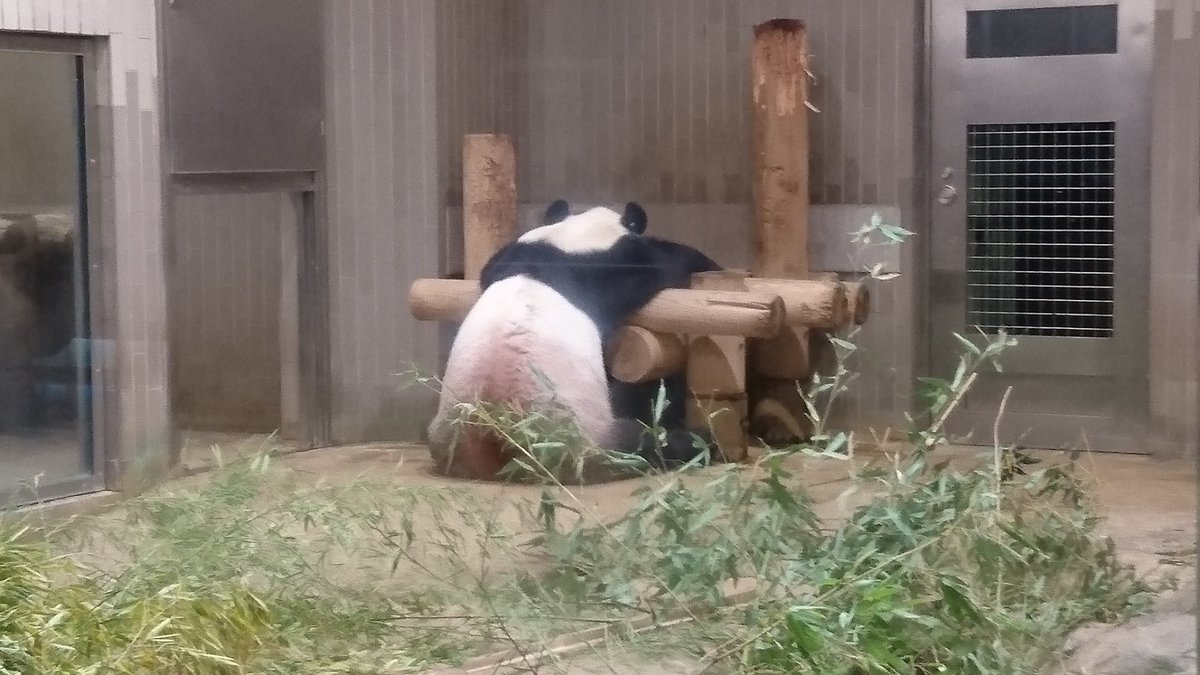 はい、見事落選😭

※ポストと写真は関係ありません😅