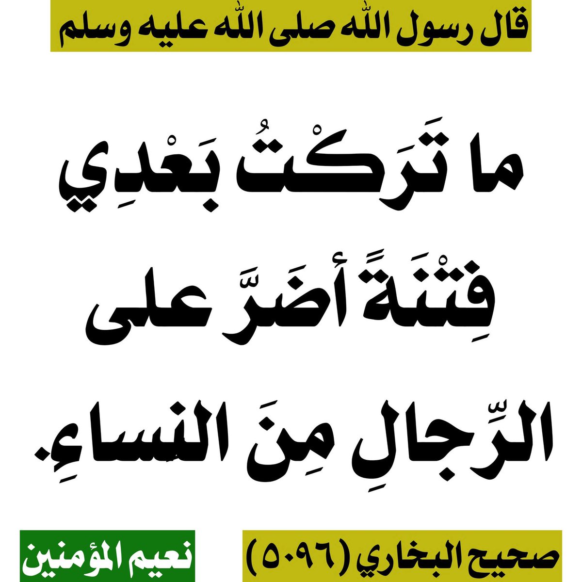 عادل بن أبي بكر tweet media
