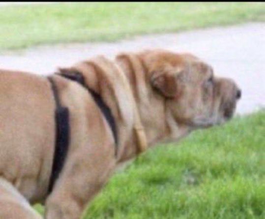 Cardisgneration's tweet image. fixed it